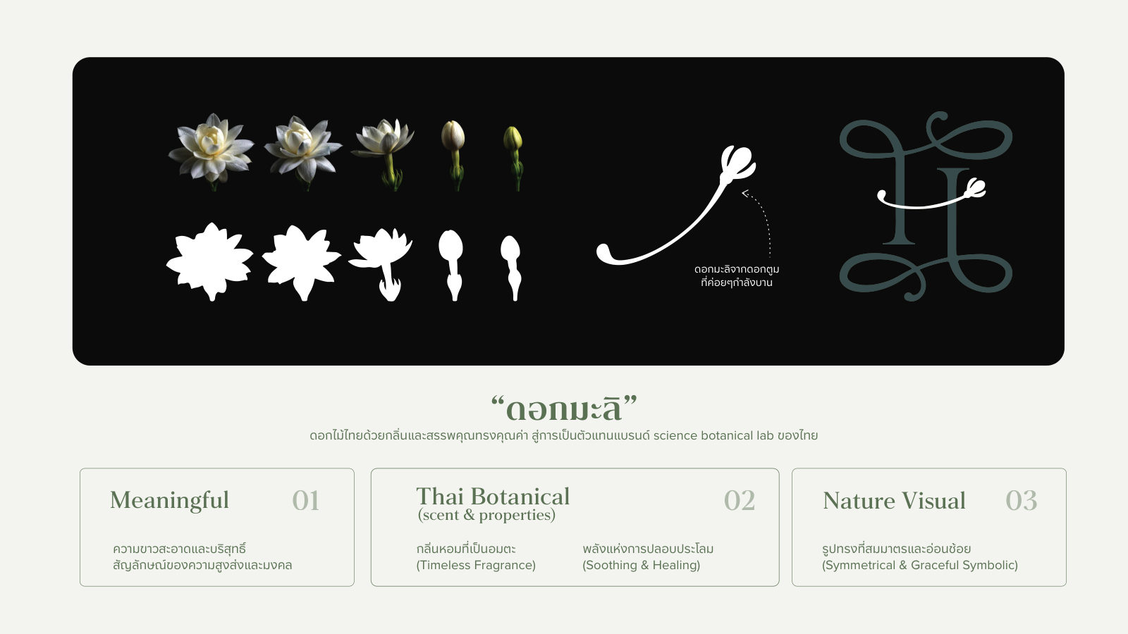Hongfa — ตัวอย่างการใช้งานแบรนด์ (mockup) แบรนด์สารสกัดพฤกษศาสตร์