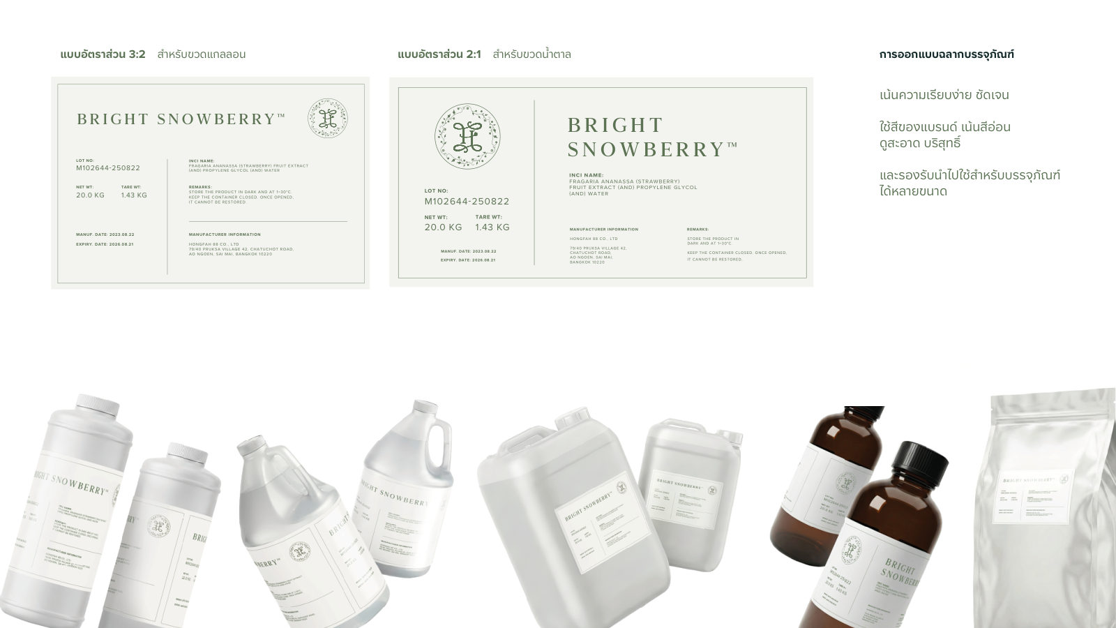 Hongfa — ตัวอย่างการใช้งานแบรนด์ (mockup) แบรนด์สารสกัดพฤกษศาสตร์