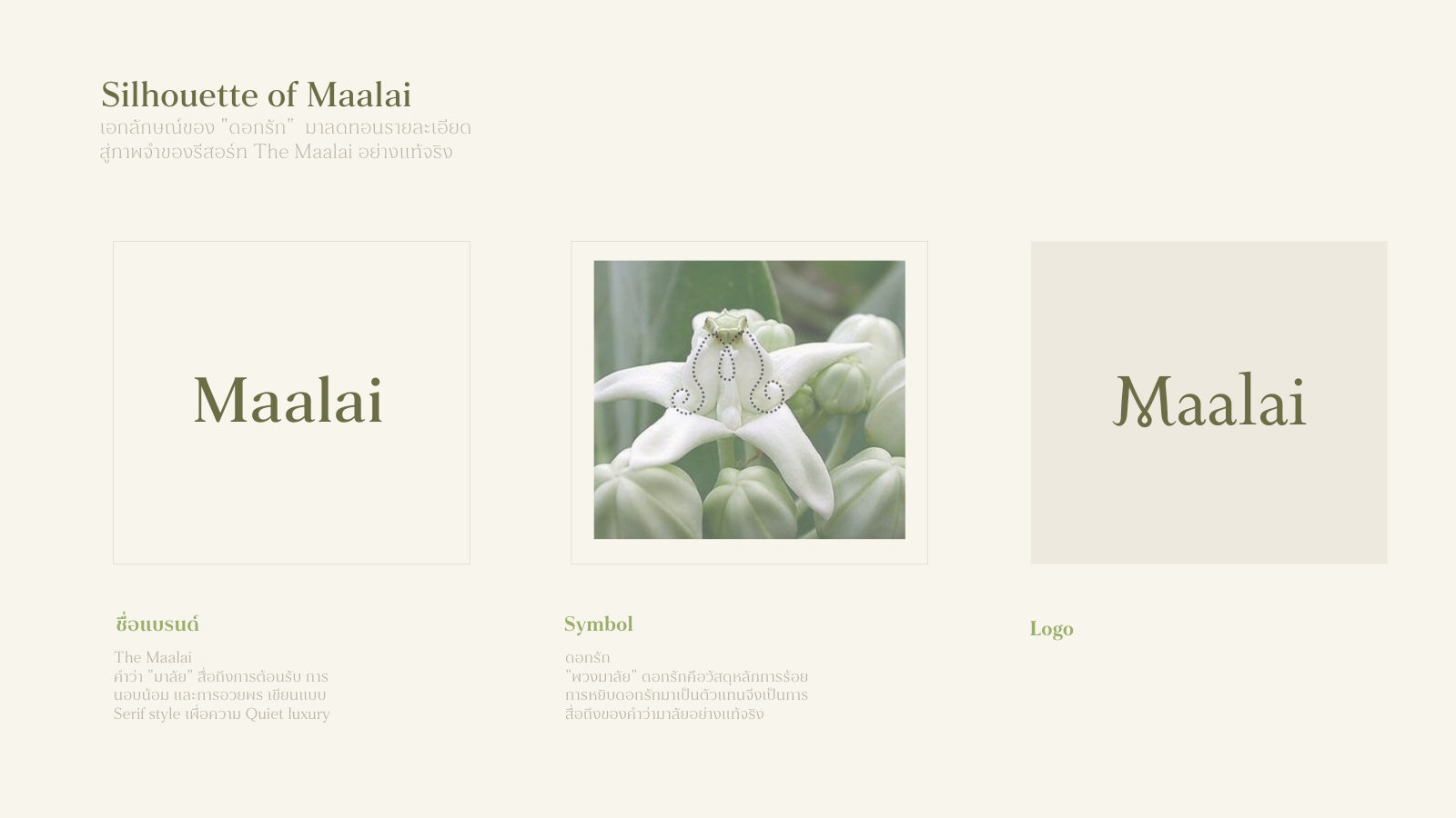 The Maalai — ตัวอย่างการใช้งานแบรนด์ (mockup) แบรนด์โรงแรมและรีสอร์ต